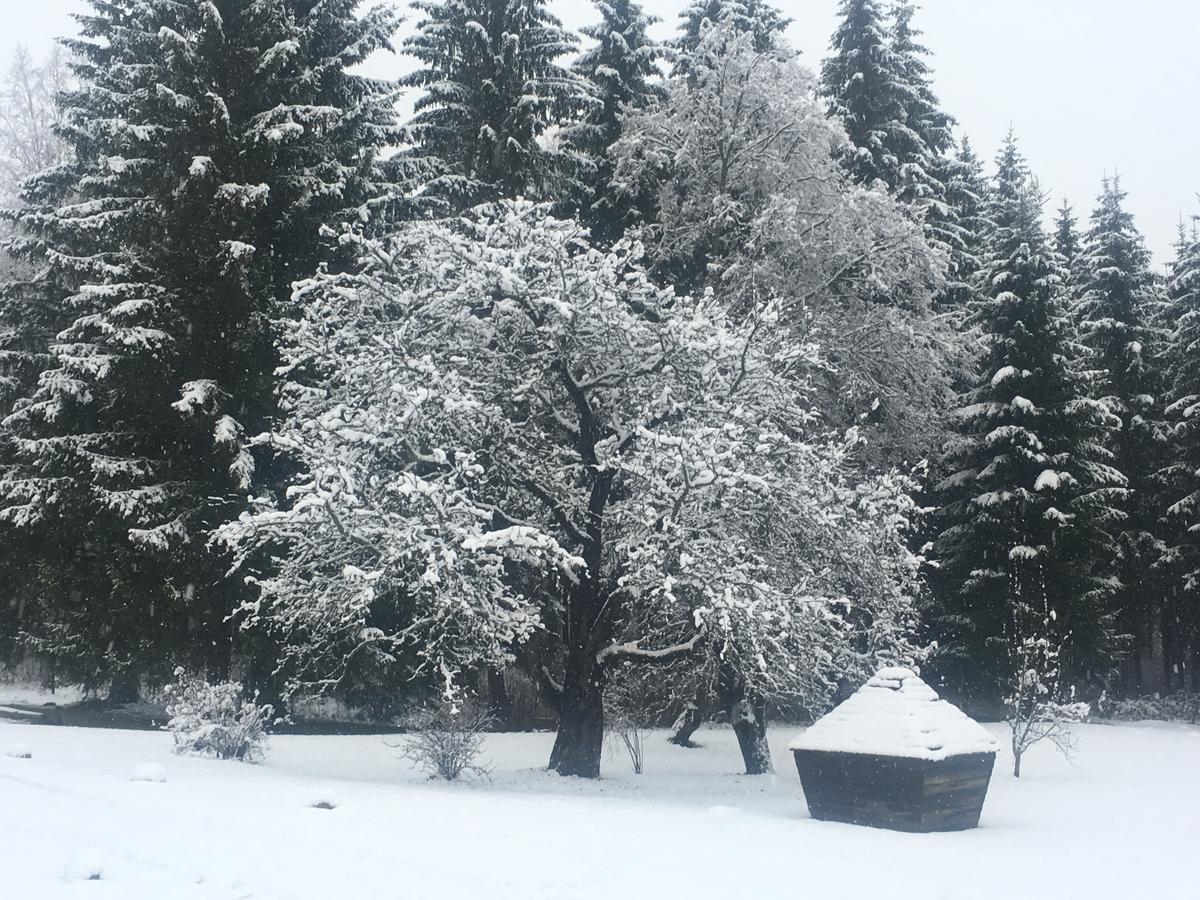 Koveri Holiday Center Bagian luar foto